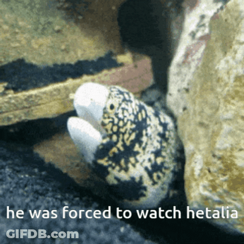 Eel Was Forced To Watch Hetalia GIF