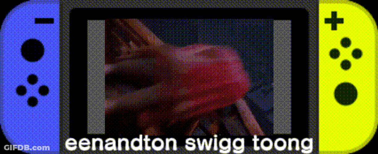 Eenandton Swigg Toong Nintendo Switch GIF