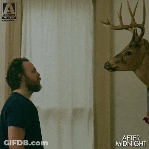 Eerie Stare Down After Midnight GIF