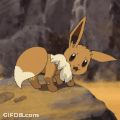 Eevee Pokemon Brush Dusty Tail Anime GIF