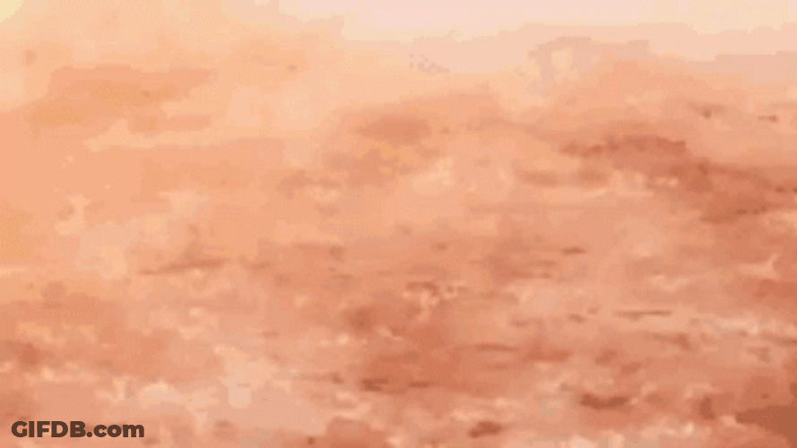 Eevee Pokemon Tackle Ready Attack Landing GIF