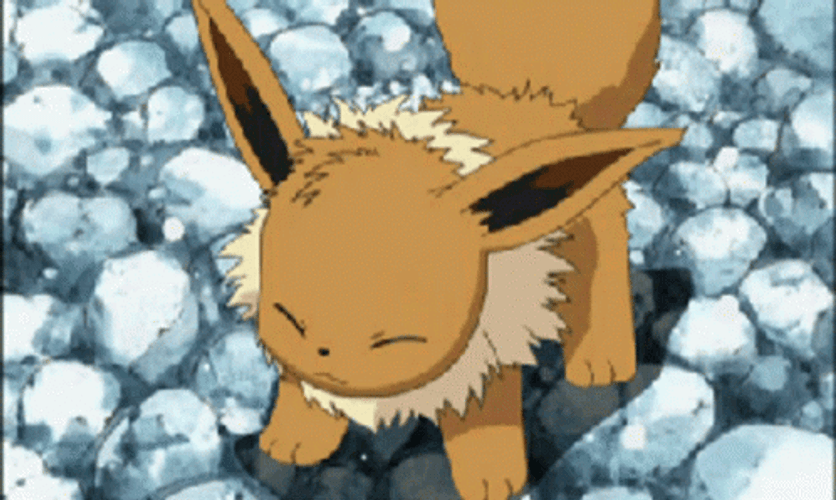 Eevee Pokemon Wet Shaking Off Hair GIF