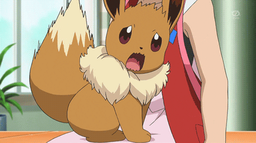 Eevee Pokemon X And Y Scared Hide Serena GIF