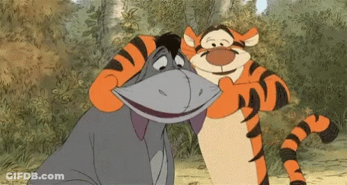Eeyore And Tigger Posing For Picture GIF