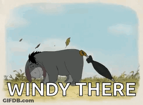 Eeyore Holding Umbrella In Field GIF
