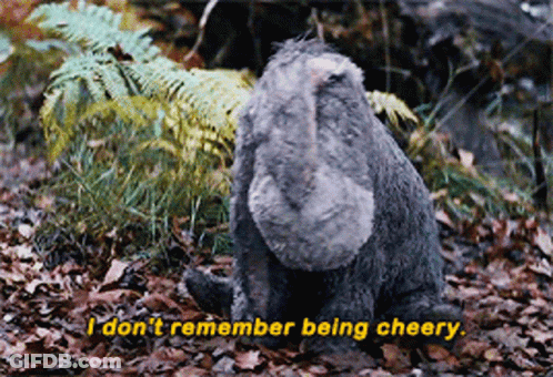 Eeyore Praying For Irma To Get Well Soon GIF