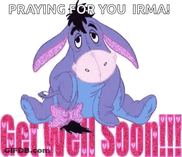 Eeyore Praying Get Well Soon Irma GIF
