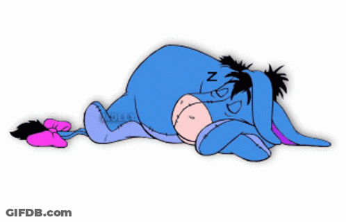 Eeyore The Donkey Sleeping GIF