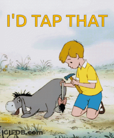 Eeyore Winnie The Pooh Scarf GIF