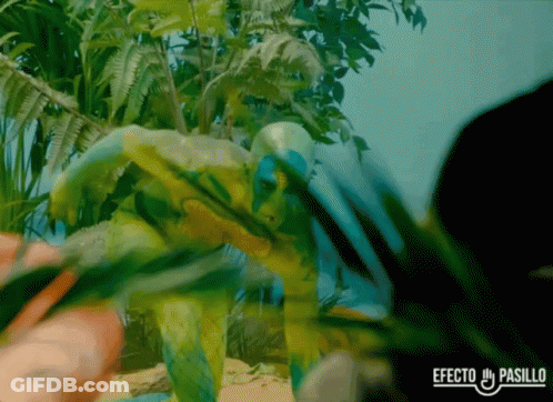 Efecto Pasillo Text GIF