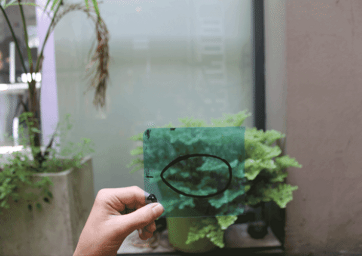Egg Hatching In Green Floral Background GIF