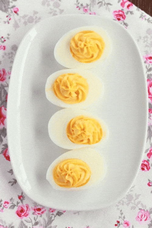 Egg Laying King Best Dishes GIF