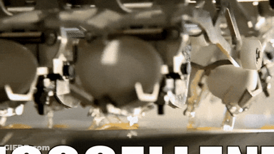Egg Laying King Mass Process GIF