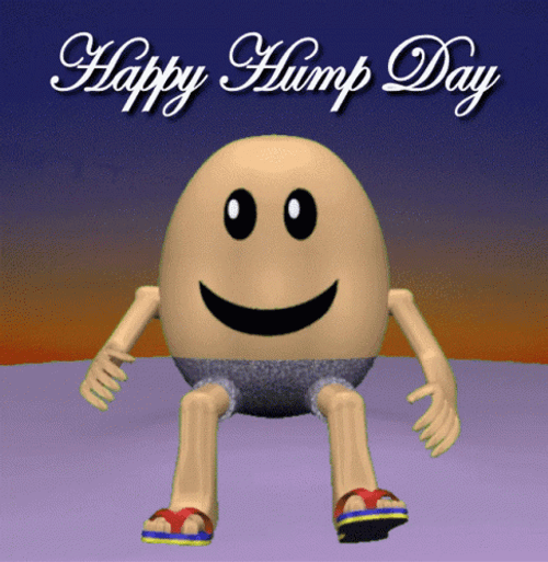 Egg On Top Of Hump Day Wednesday GIF