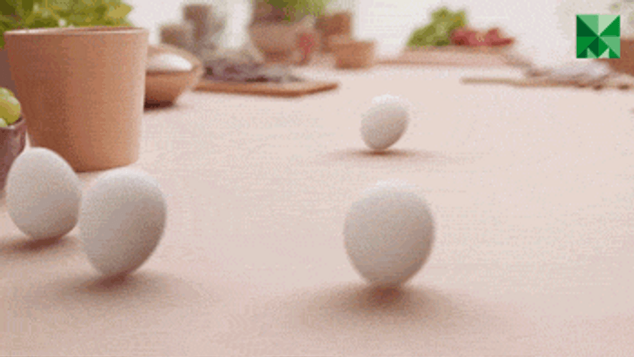 Egg Roll Breakfast Dishes GIF