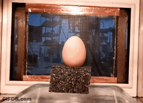 Egg Sitting On Black Foam GIF