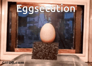 Egg With Eggsecution Text GIF