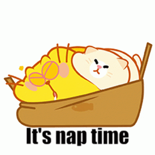 Egg Yolk Cat Nap Time With His Friend GIF