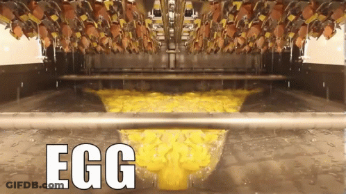 Eggs Being Cooked In A Machine With Egg Text GIF