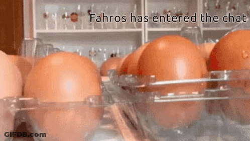 Eggs In Plastic Container Fahros Has Entered Chat GIF
