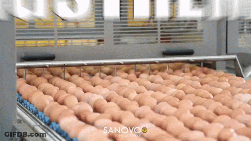 Eggs On Conveyor Belt Saying Sanovo GIF
