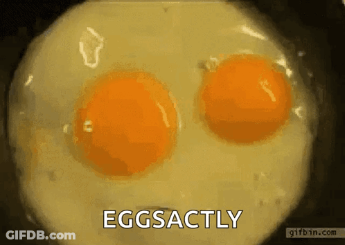 Eggsactly Two Eggs Cooking GIF
