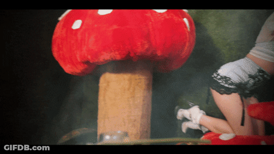 Egirl Mushroom Dance Floor GIF
