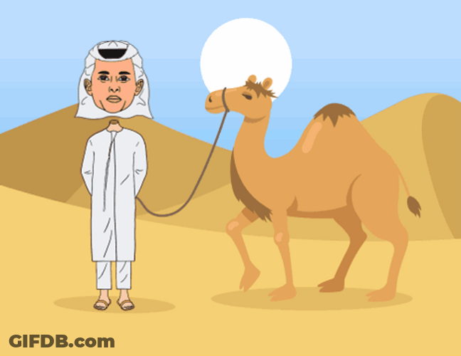 Egyptian And Camel Happy Hump Day Meme GIF