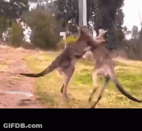 Egyptian Pyramids Landing Pads For Aliens On Man's Face GIF
