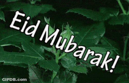 Eid Mubarak On Green Background GIF