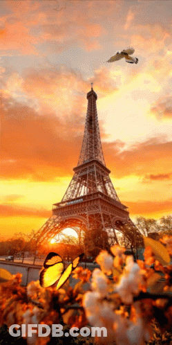 Eiffel Tower Behind Glass Fence And Wooden Wall GIF