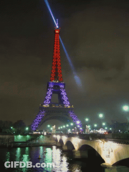 Eiffel Tower Lights On Bastille Day GIF