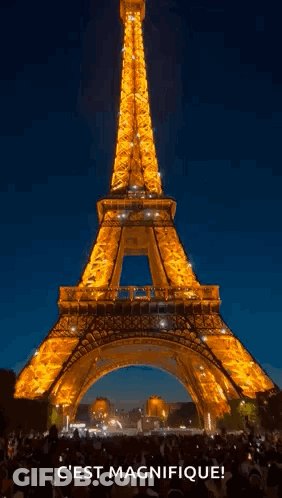 Eiffel Tower Lit Up At Night With Crowd GIF