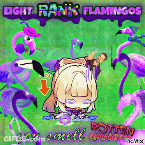 Eight Rank Flamingos GIF