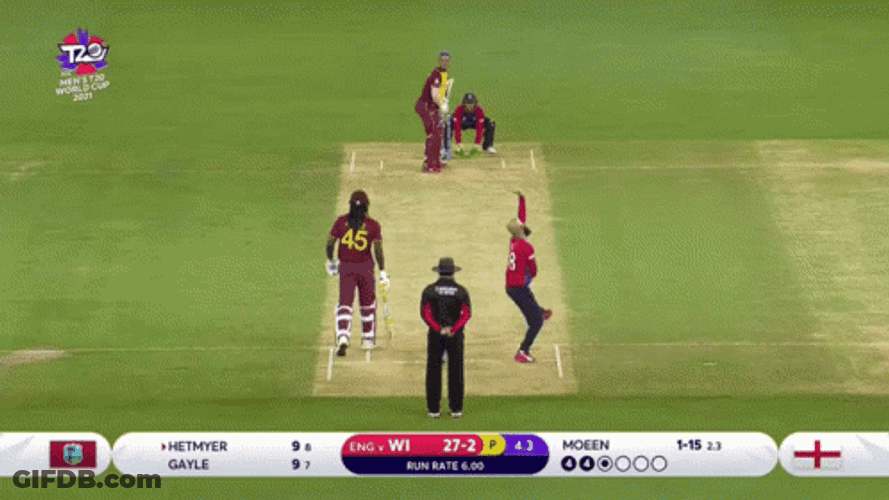 Eion Morgan Cricket Catch GIF
