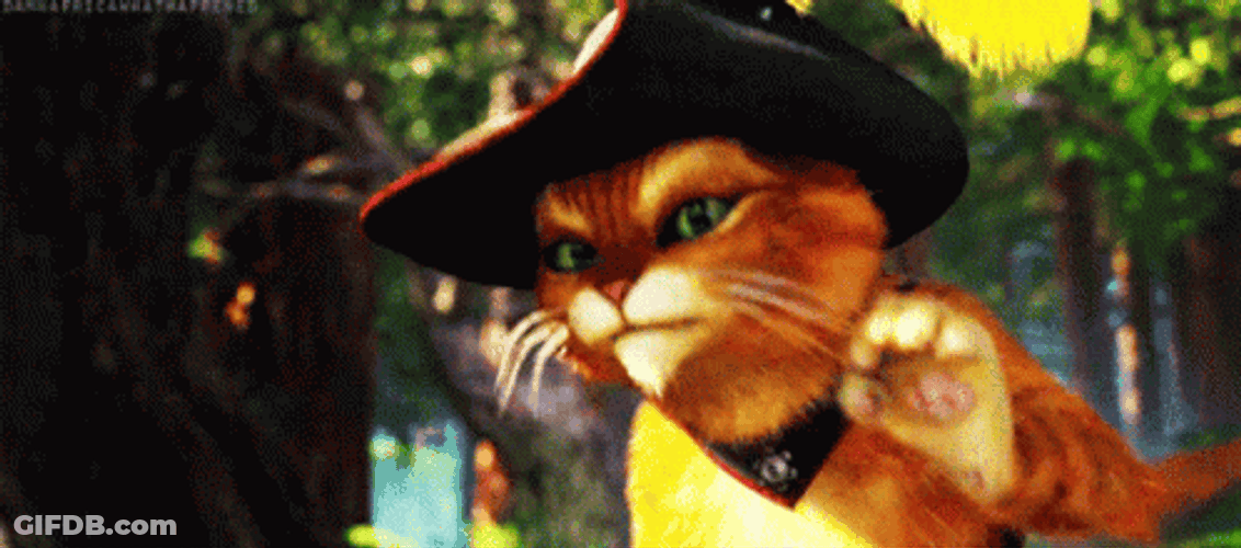 El Gato Meme Garfield GIF