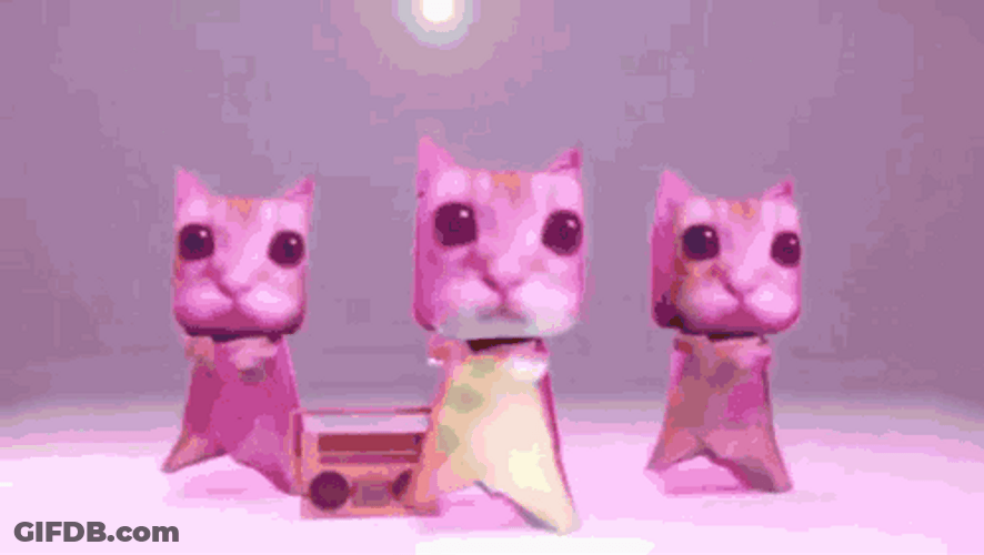 El Gato Meme Party Dancing GIF