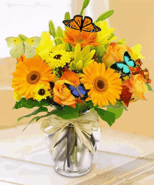 El Jardin De Tus Sueno Flores GIF