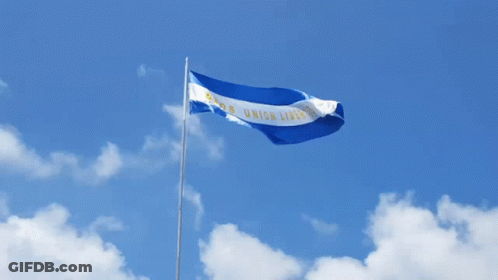El Salvador Cartoon With Bitcoin And Flag GIF