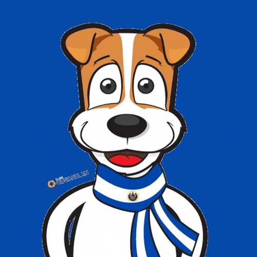 El Salvador Cute Dog GIF