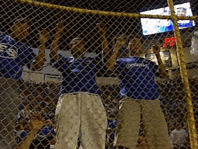 El Salvador Fans GIF