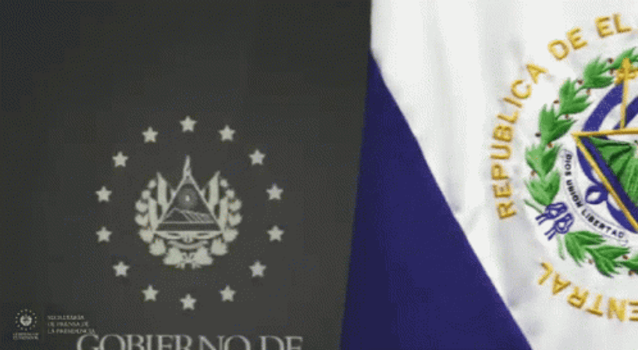 El Salvador Flag Video GIF