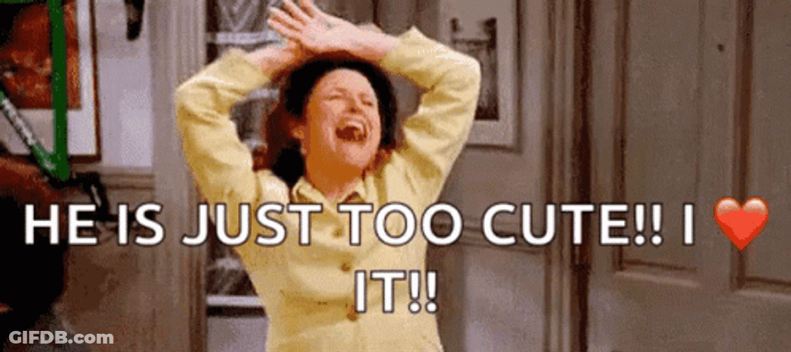 Elaine Dance Too Cute GIF