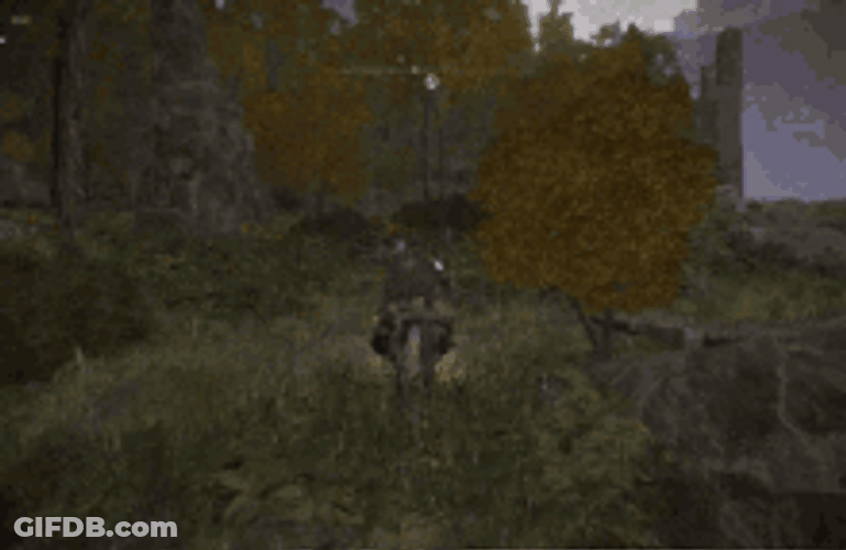 Elden Ring Player Traveling With Torrent GIF