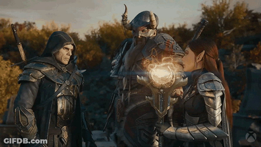 Elder Scrolls Characters Staring GIF
