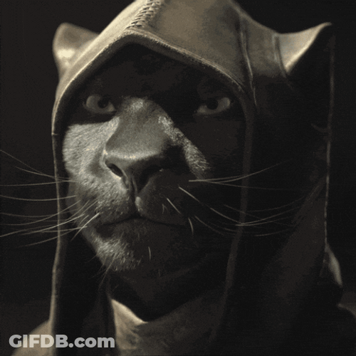 Elder Scrolls Khamira Closeup GIF
