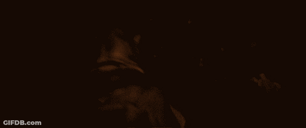 Elder Scrolls Khamira Running Away From Fire GIF