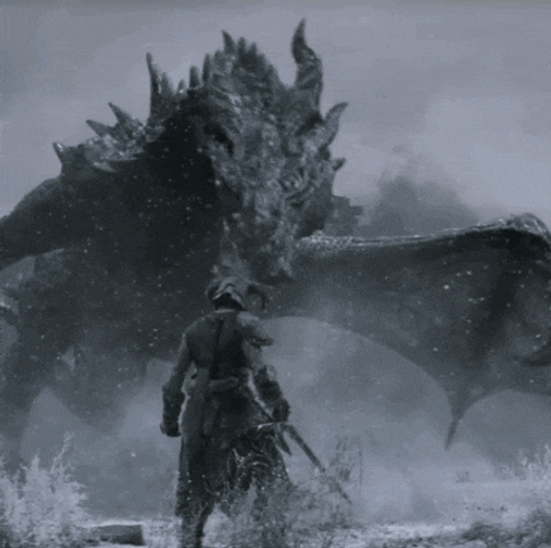 Elder Scrolls Laat Dovahkiin Facing Dragon GIF