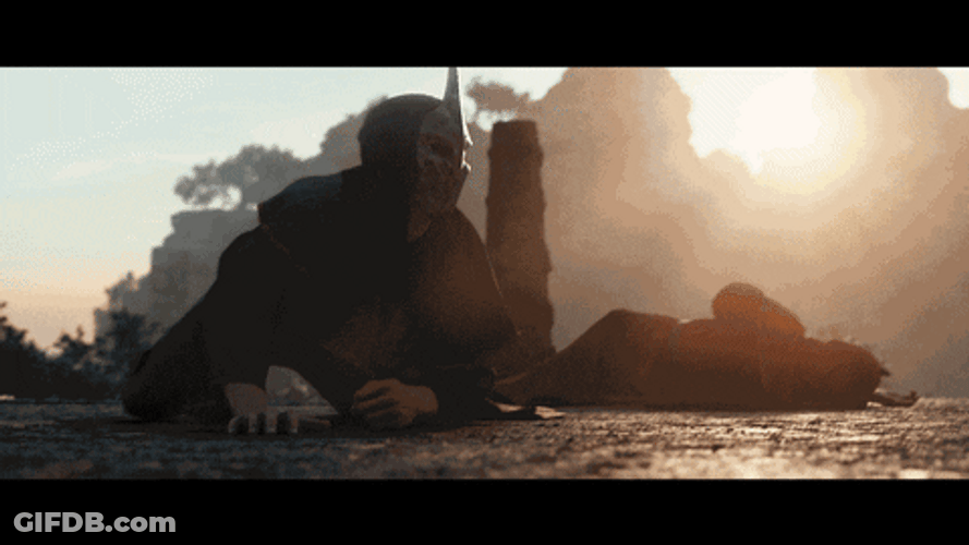 Elder Scrolls Lyranth Running With Book GIF
