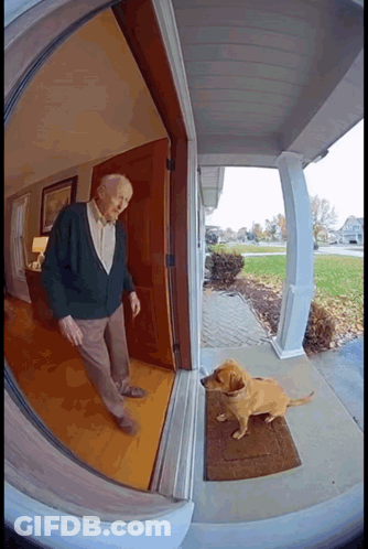 Elderly Man And Dog At Door GIF